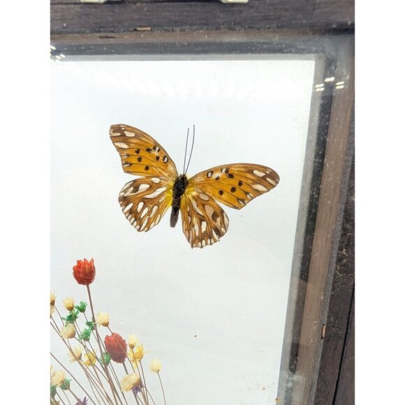 Vintage Shadow Box Butterflies Flowers display glass 12.4" x 5.4" boho READ - Picture 11 of 16